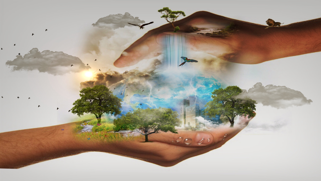 Join our Cafe on Wednesday Nights.